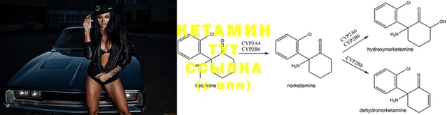 кокс Армянск